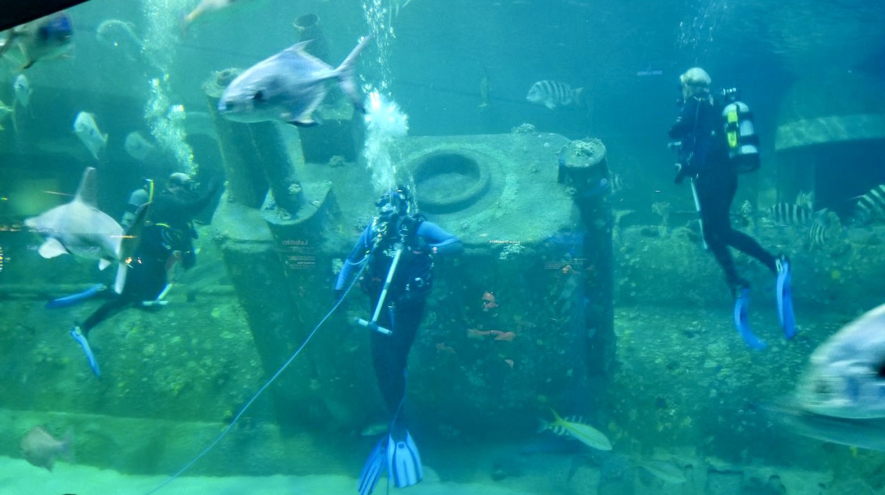 Divers with in the shark tank. The replica of the German submarine replica inside the North Carolina Aquarium at Pine Knoll Shores