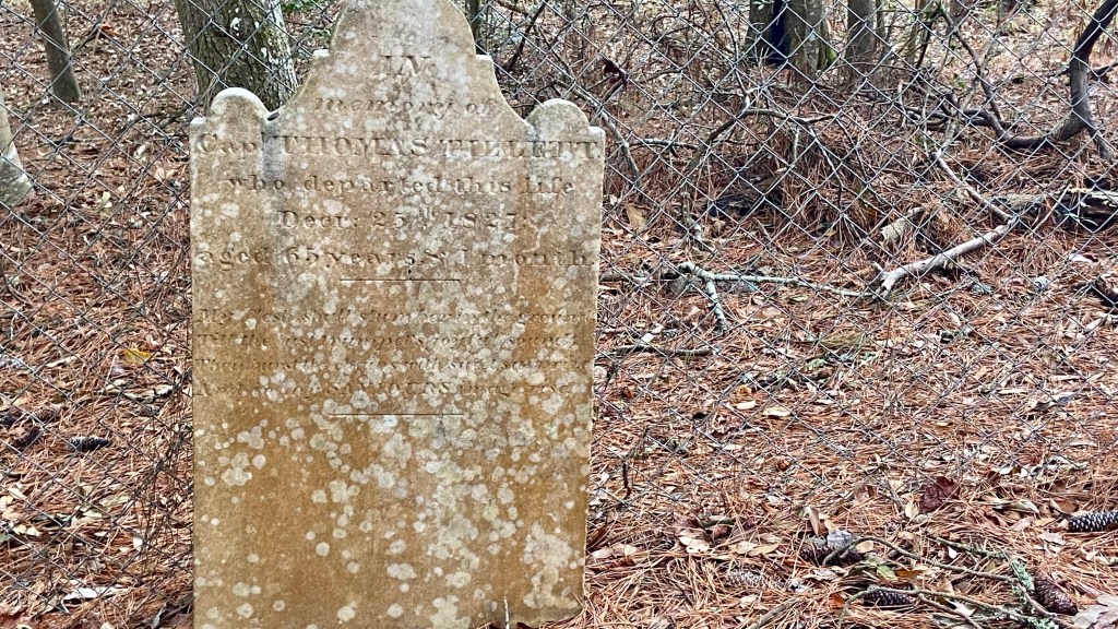 Nags Head Woods Preserve