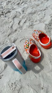 Stanley Cup and Florida bird in sand