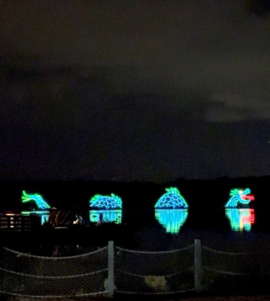 50th Anniversary Walt Disney World Electrical Water Pageant in front of the Campgrounds of Disney’s Fort Wilderness Resort