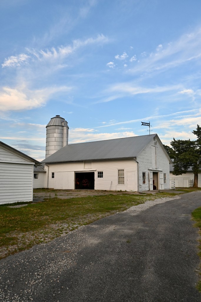 Chippokes State Park in Surry, Virginia