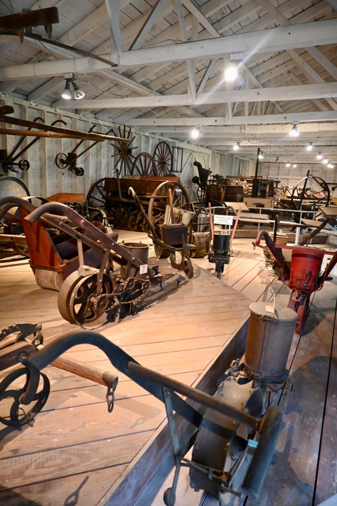 Chippokes State Park in Surry, Virginia