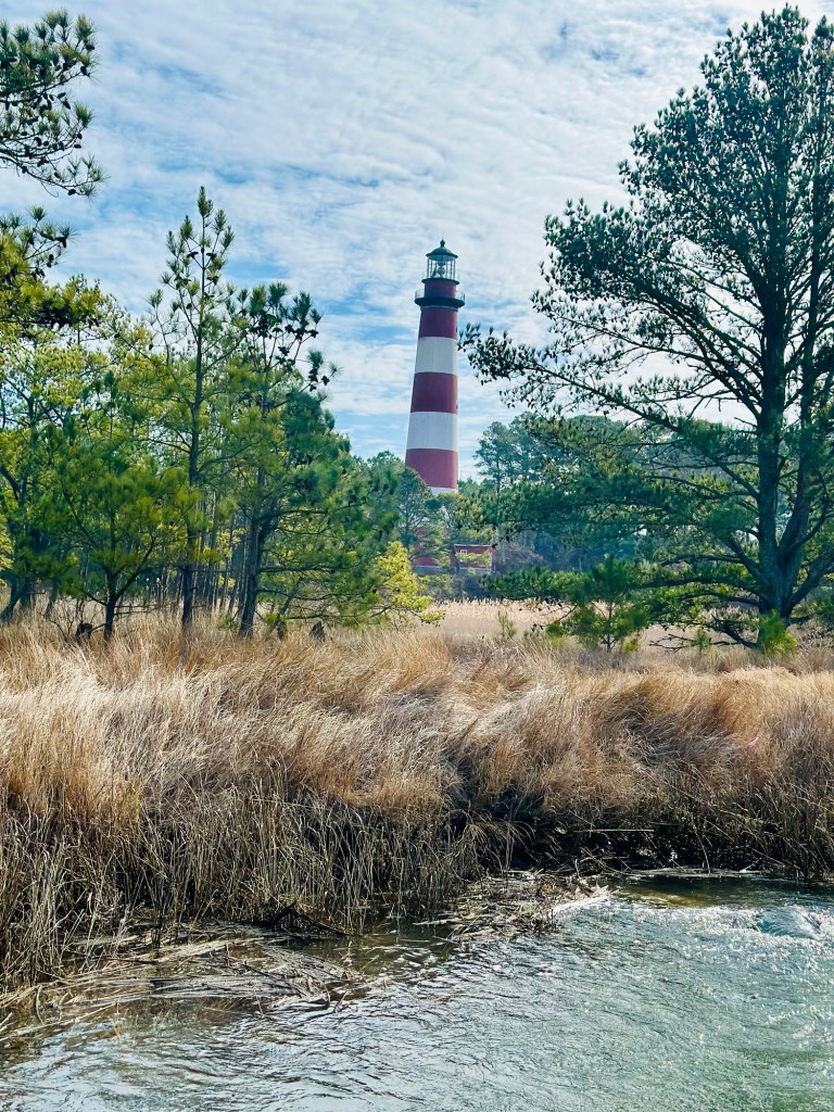 Daisy Island Cruises Chincoteague Virginia