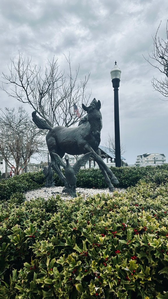 Daisy Island Cruises Chincoteague Virginia
