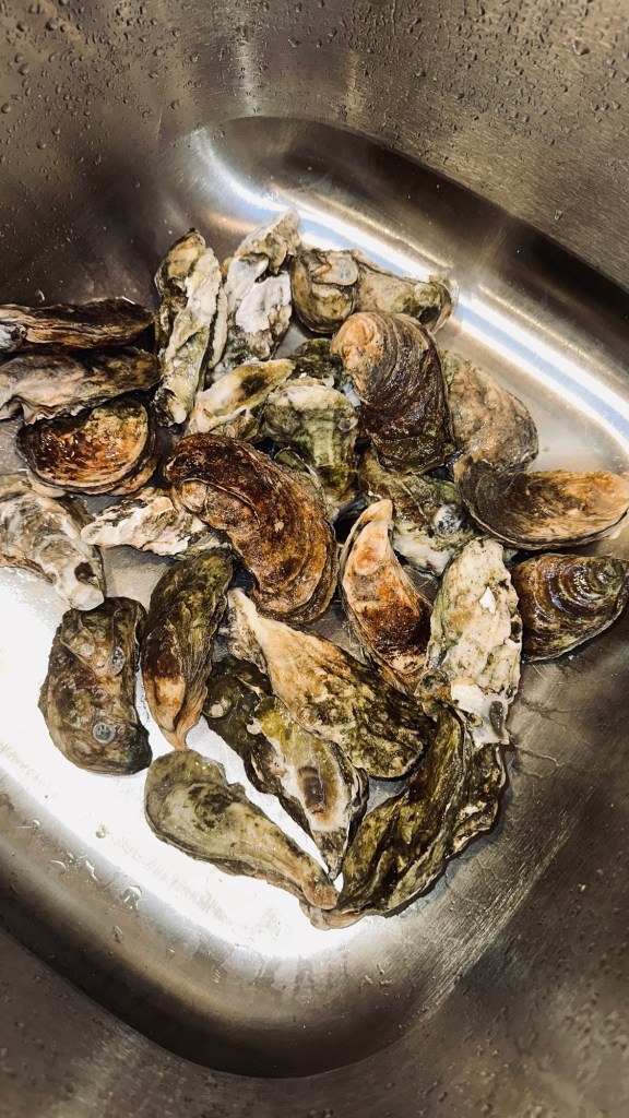 chincoteague Virginia