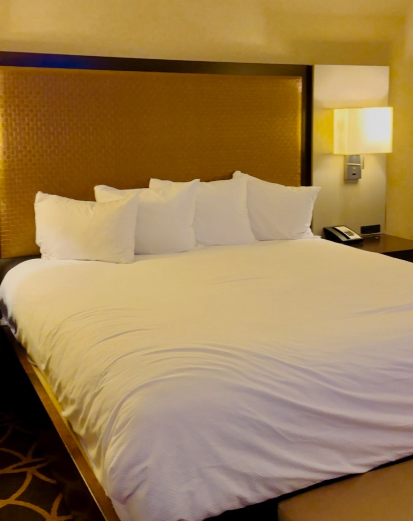 Spacious Suites with Scenic Views