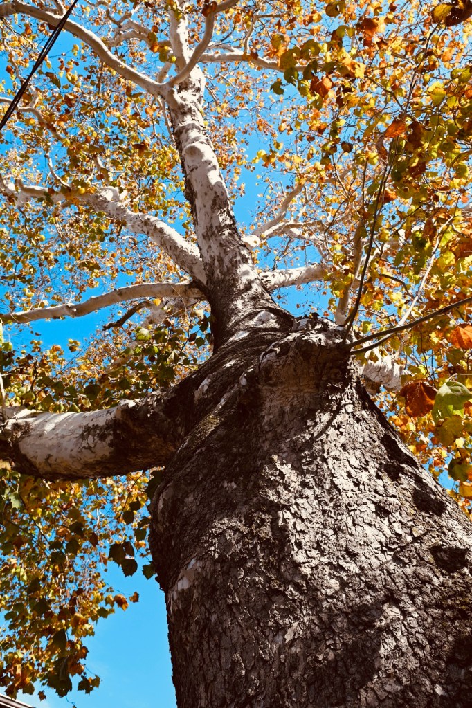 tour Gettysburg Pennsylvania