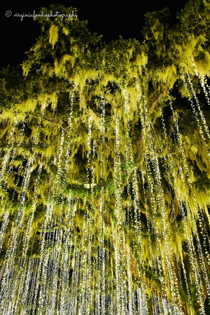 Night of a Thousand Candles Brookgreen Gardens