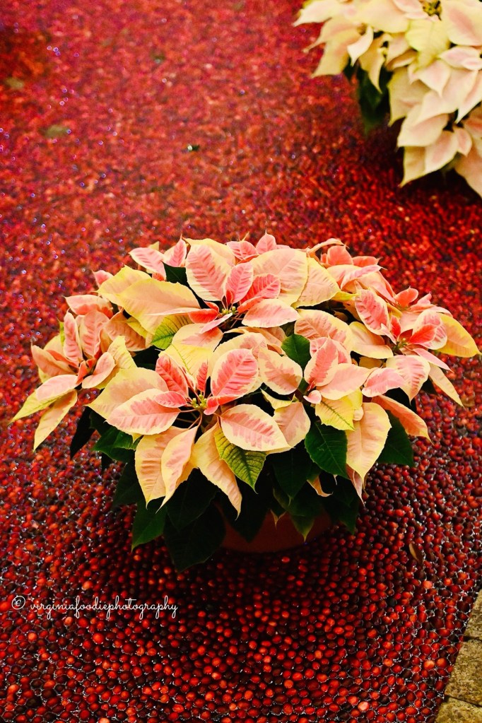 Night of a Thousand Candles Brookgreen Gardens