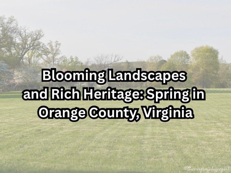 Blooming Landscapes and Rich Heritage: Spring in Orange County,&nbsp;Virginia